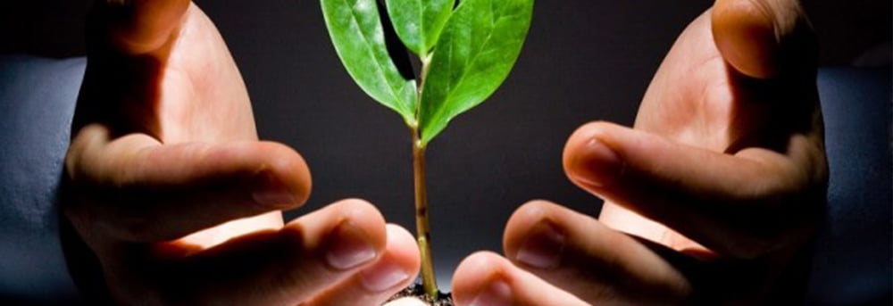 CÔNG TY CỔ PHẦN CÔNG NGHIỆP HOÀNG KIM – HOANG KIM INDUSTRY JSC